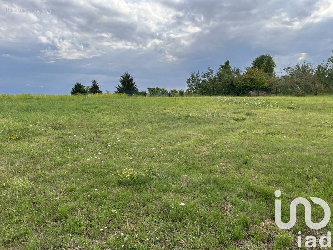 Photo 1 - Terrain à MAGNANT