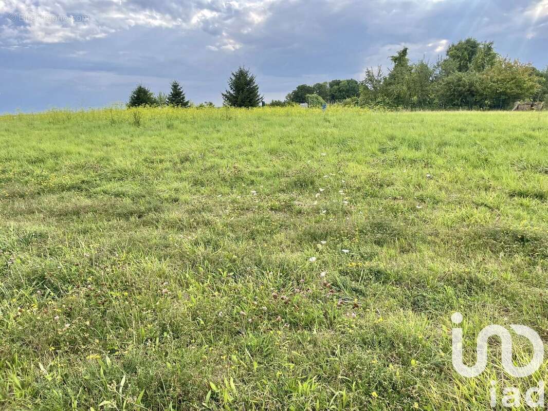 Photo 3 - Terrain à MAGNANT