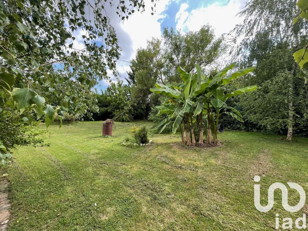 Photo 3 - Maison à MONTMIRAIL