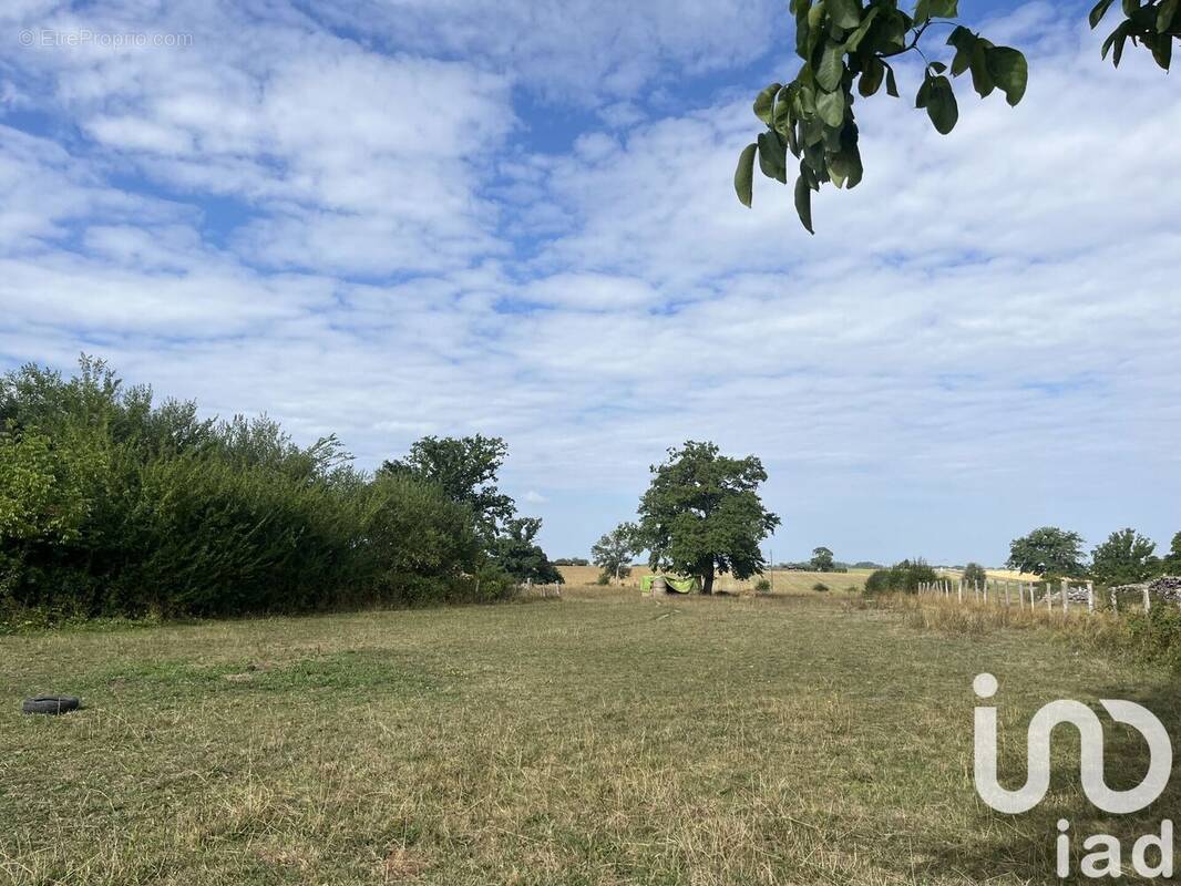 Photo 1 - Terrain à VIC-DE-CHASSENAY