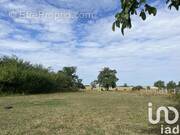 Photo 1 - Terrain à VIC-DE-CHASSENAY