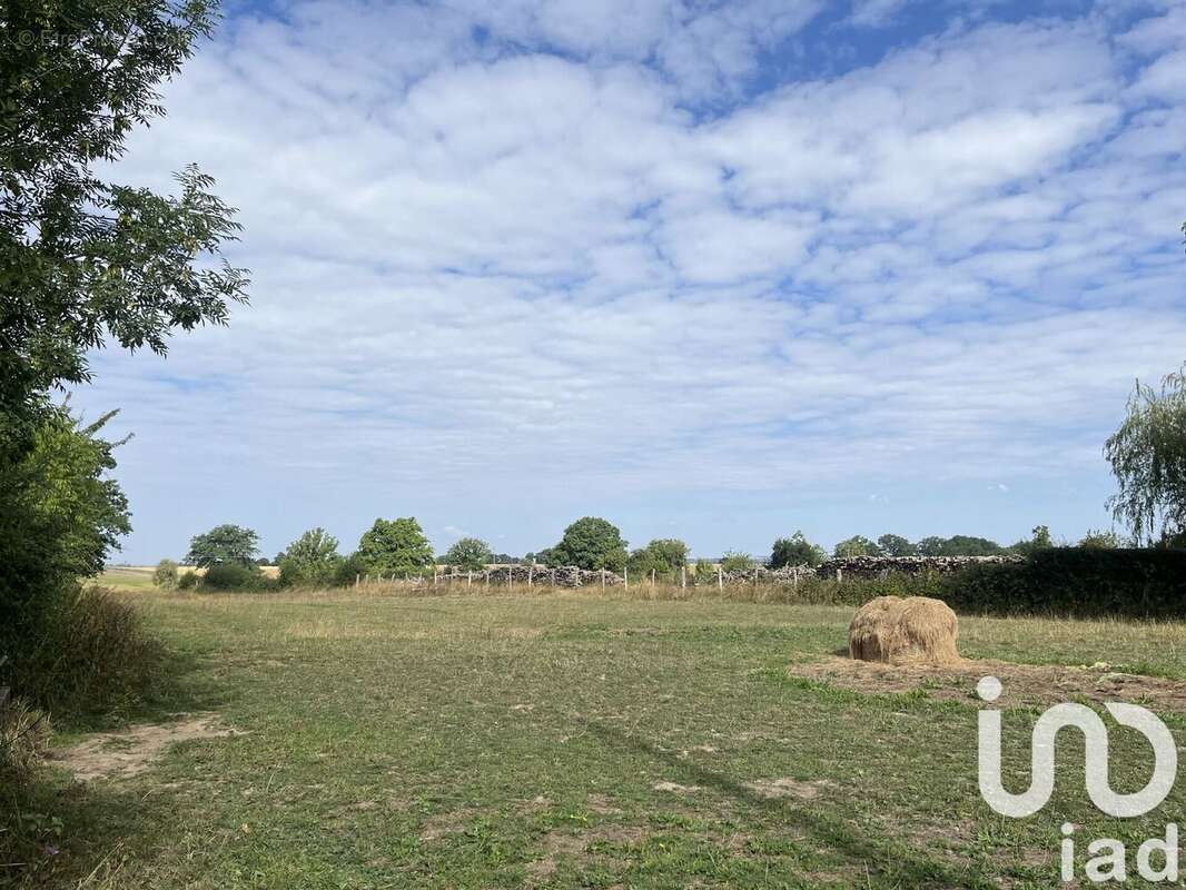 Photo 2 - Terrain à VIC-DE-CHASSENAY