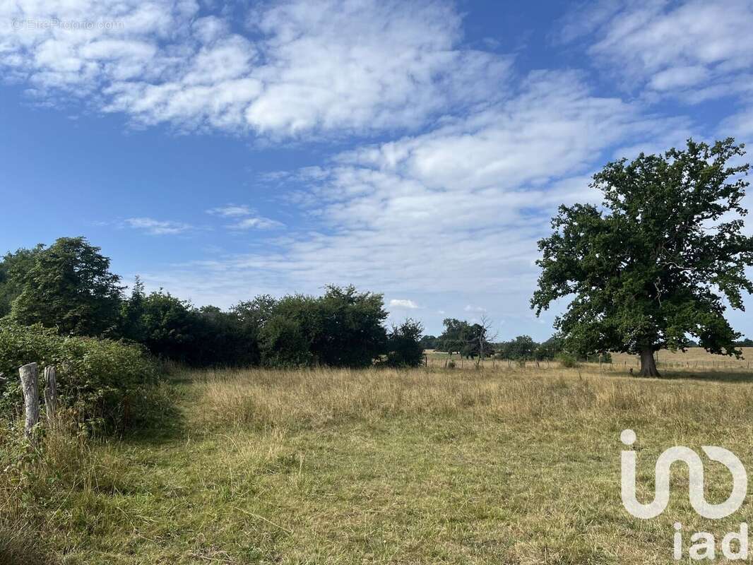 Photo 3 - Terrain à VIC-DE-CHASSENAY