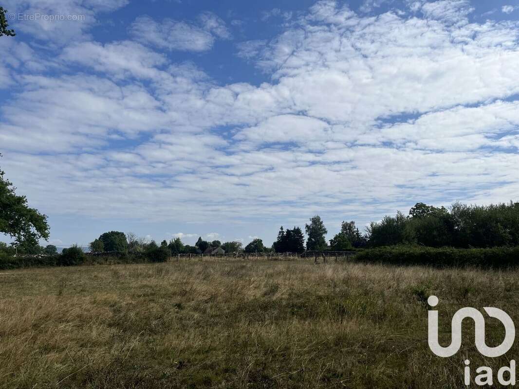 Photo 5 - Terrain à VIC-DE-CHASSENAY