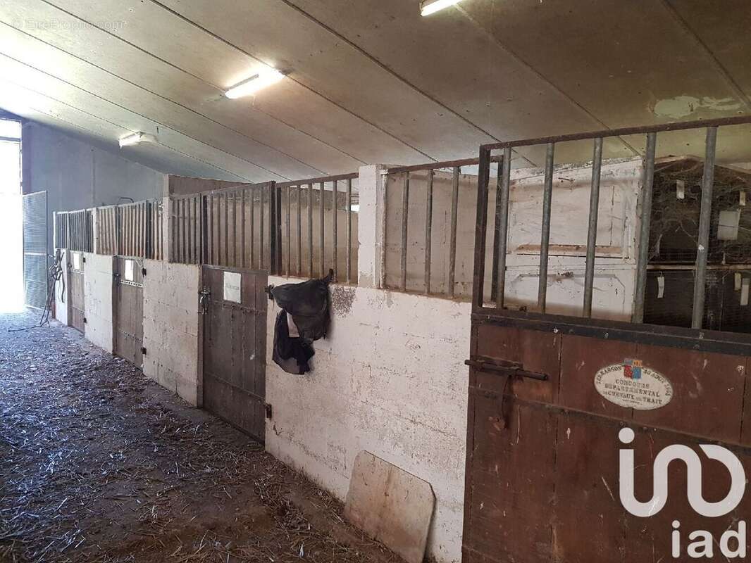 Photo 5 - Maison à SAINT-GERMAIN-DU-SALEMBRE