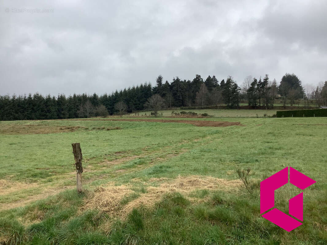 Terrain à TENCE
