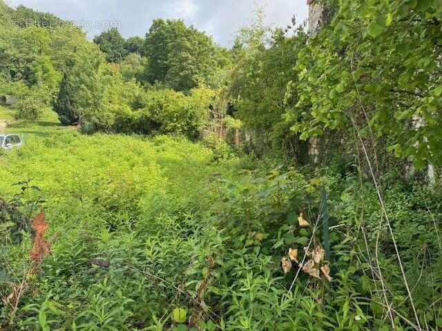 Terrain à VAILLY-SUR-AISNE