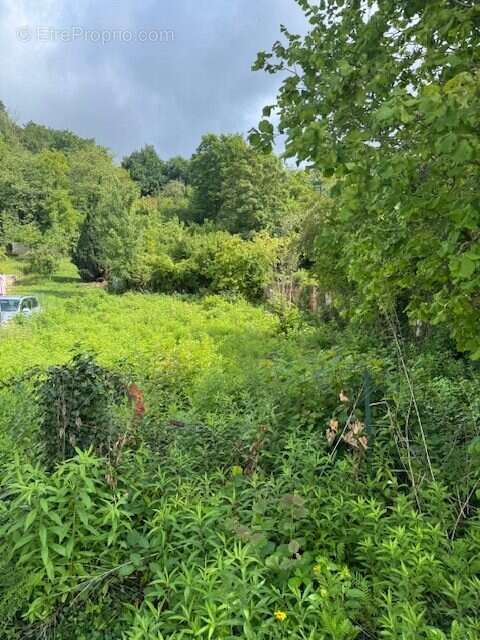 Terrain à VAILLY-SUR-AISNE