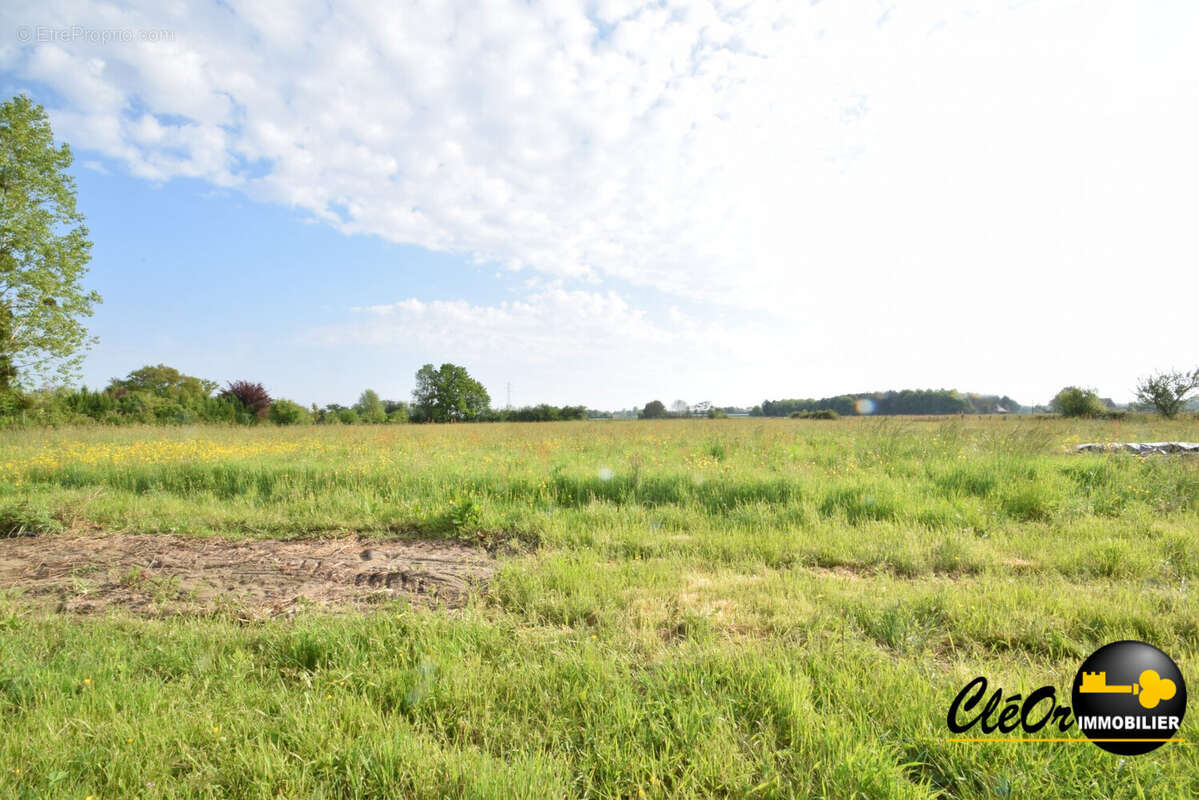 Maison à SAINT-BONNET-EN-BRESSE