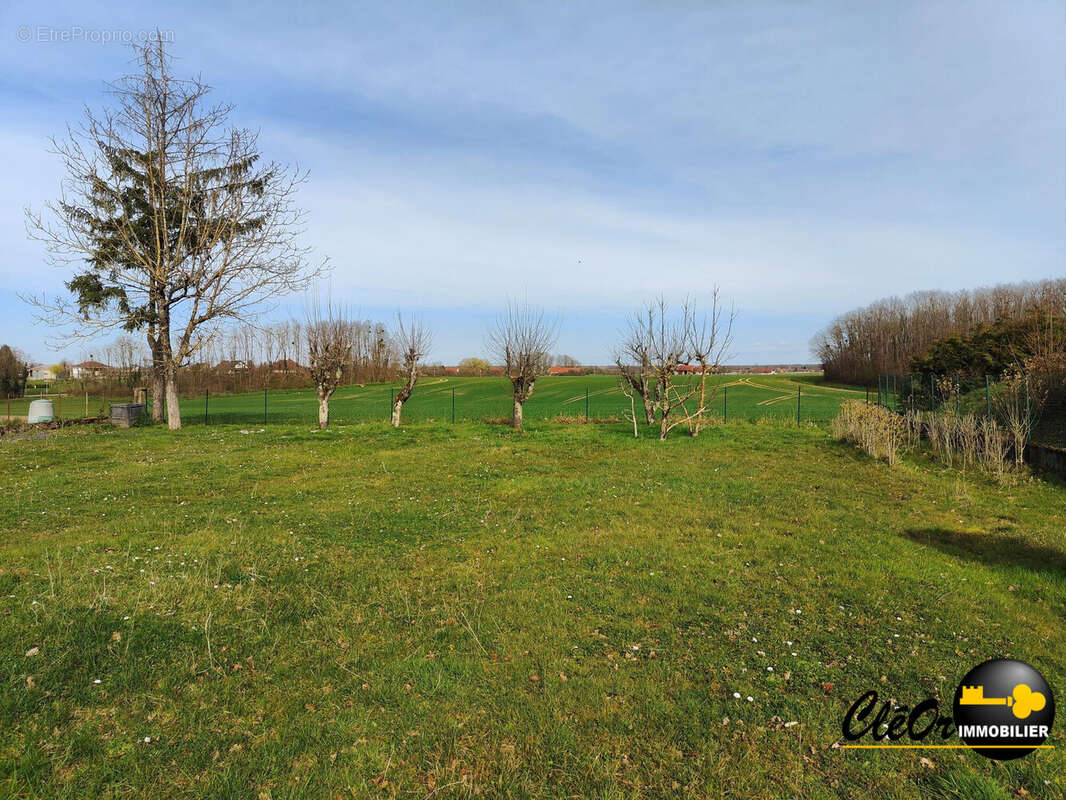 Maison à PIERRE-DE-BRESSE