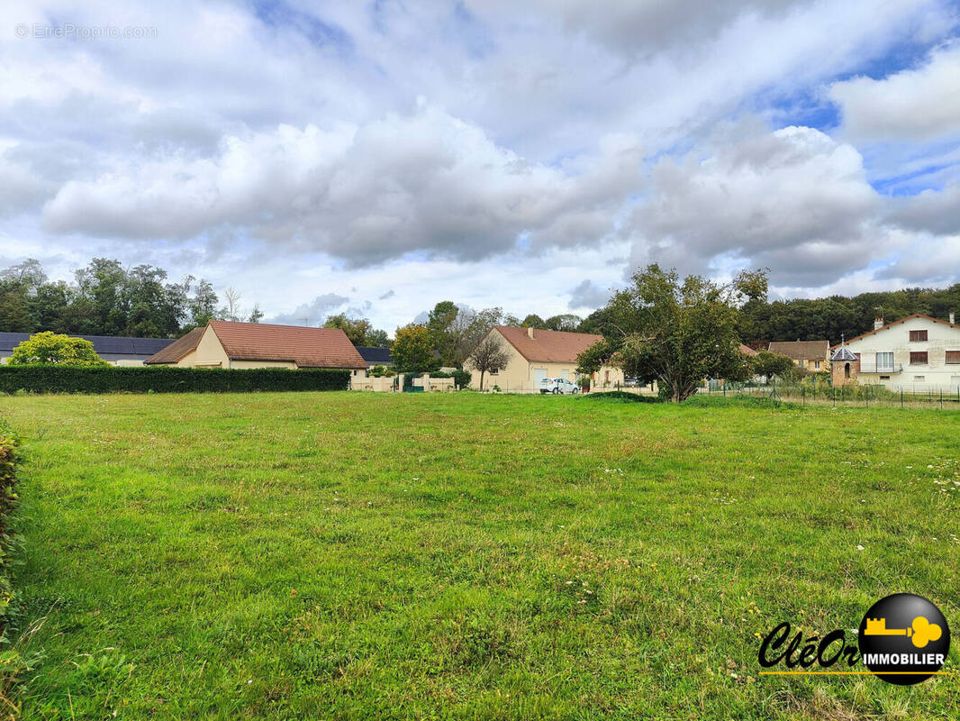 Terrain à PIERRE-DE-BRESSE