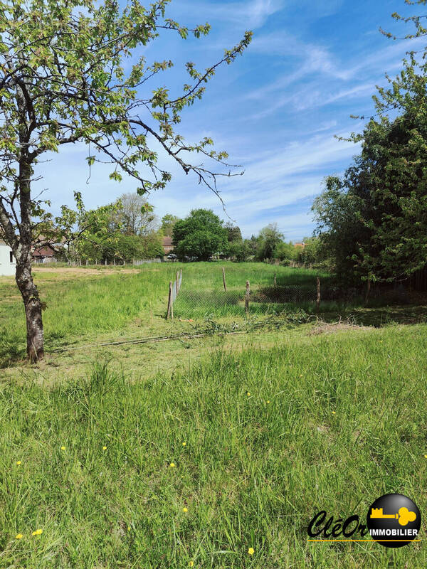 Terrain à PIERRE-DE-BRESSE