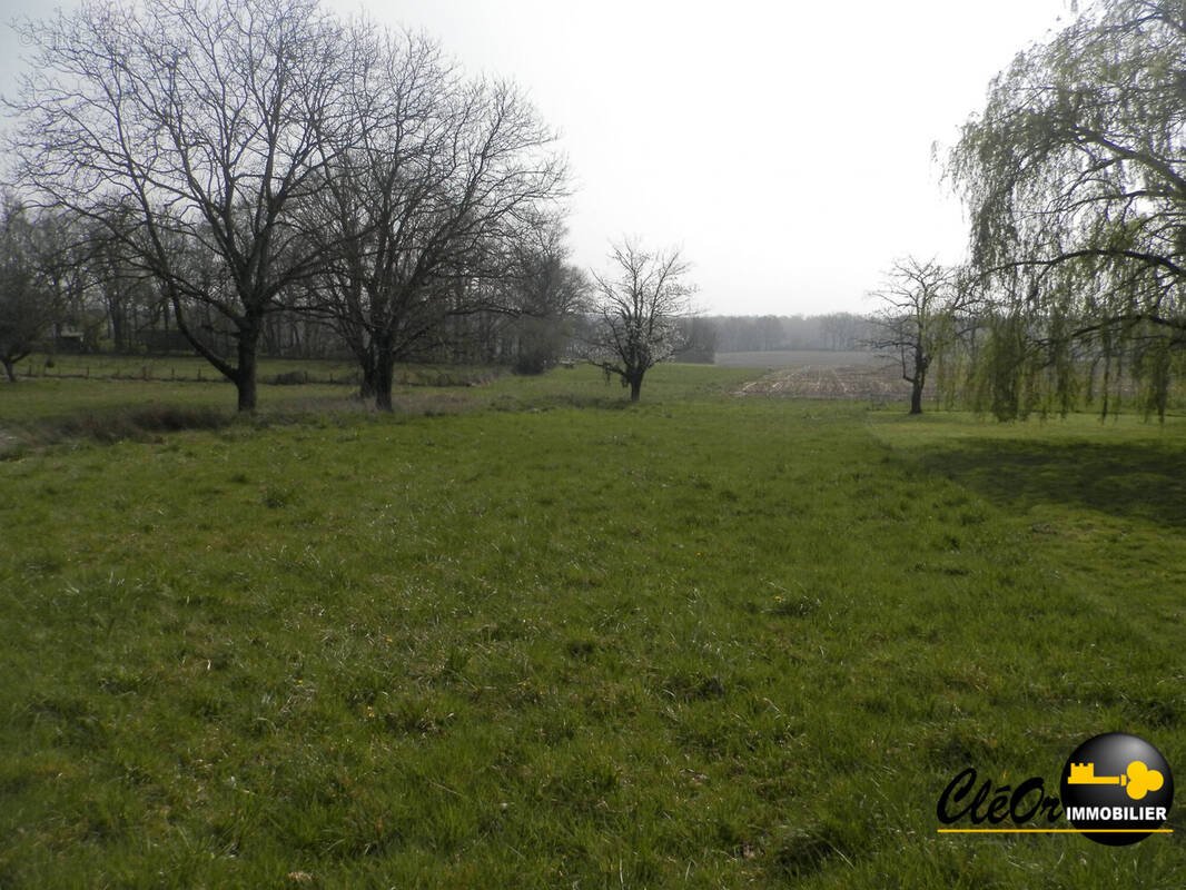 Terrain à SAINT-VINCENT-EN-BRESSE
