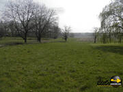 Terrain à SAINT-VINCENT-EN-BRESSE