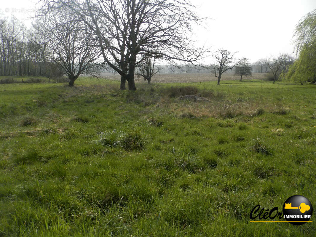 Terrain à SAINT-VINCENT-EN-BRESSE