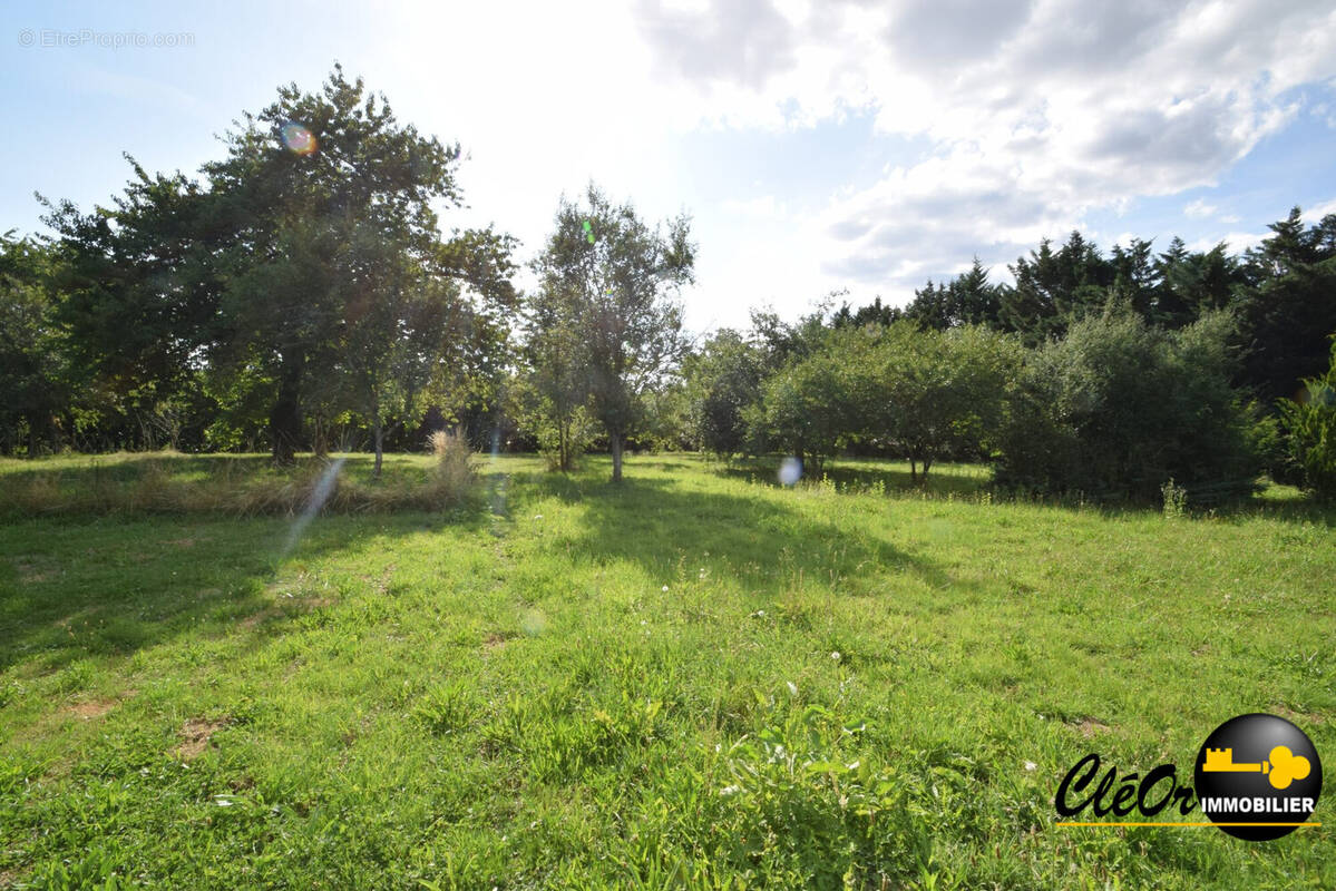 Terrain à SAINT-BONNET-EN-BRESSE