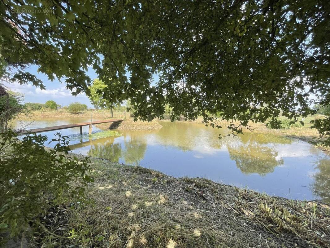 Terrain à SAINT-ERBLON