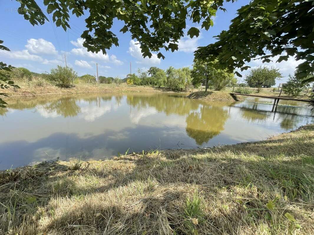 Terrain à SAINT-ERBLON