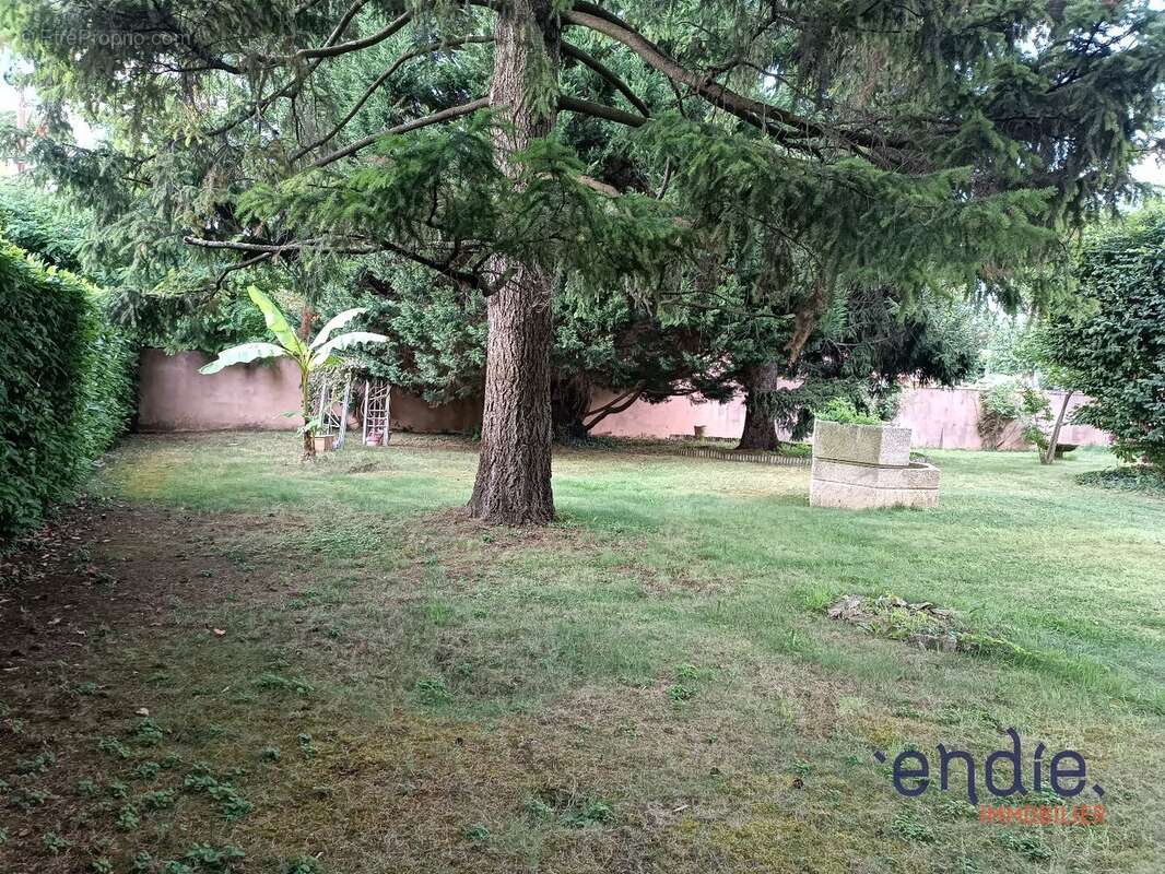 Maison à JASSANS-RIOTTIER