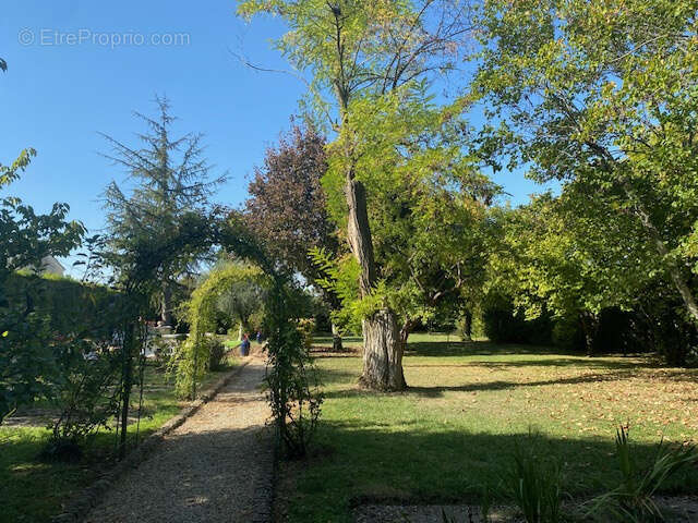 Maison à BARBEZIEUX-SAINT-HILAIRE