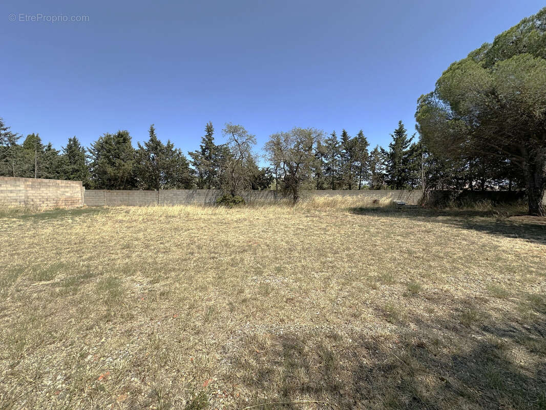 Terrain à SAINT-NAZAIRE-D&#039;AUDE