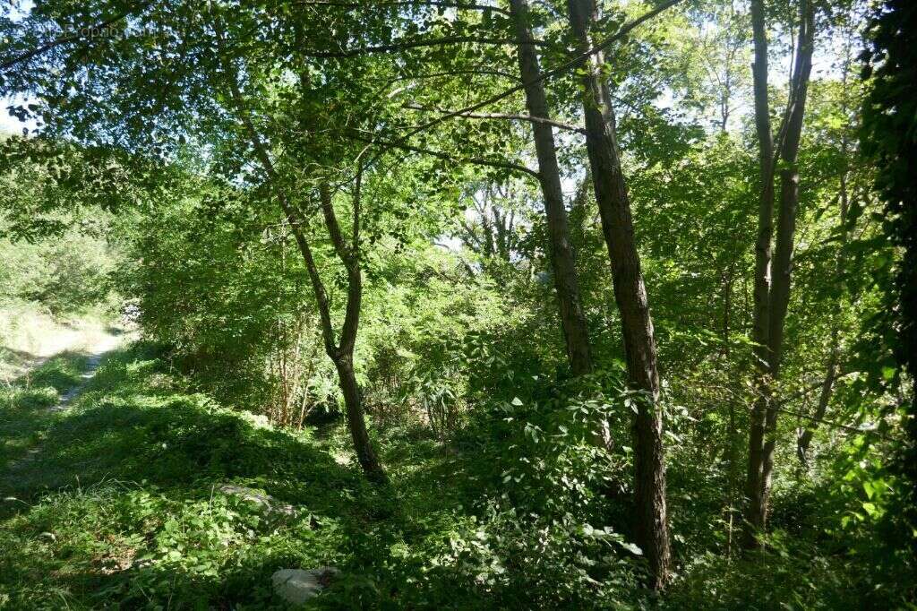 Terrain à VALGORGE