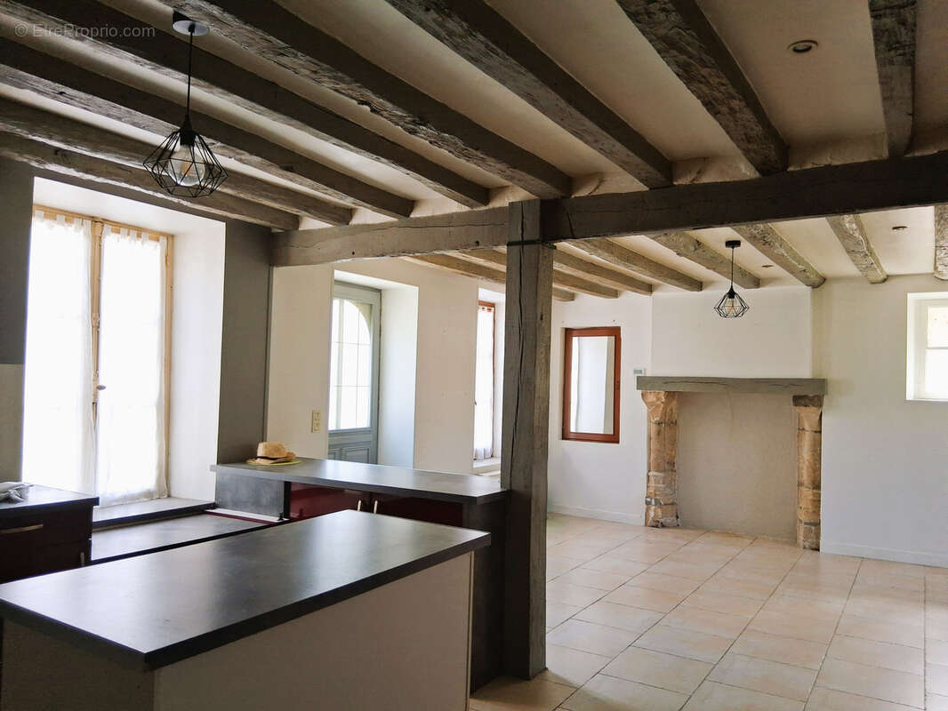 Maison à SAINT-BRISSON-SUR-LOIRE