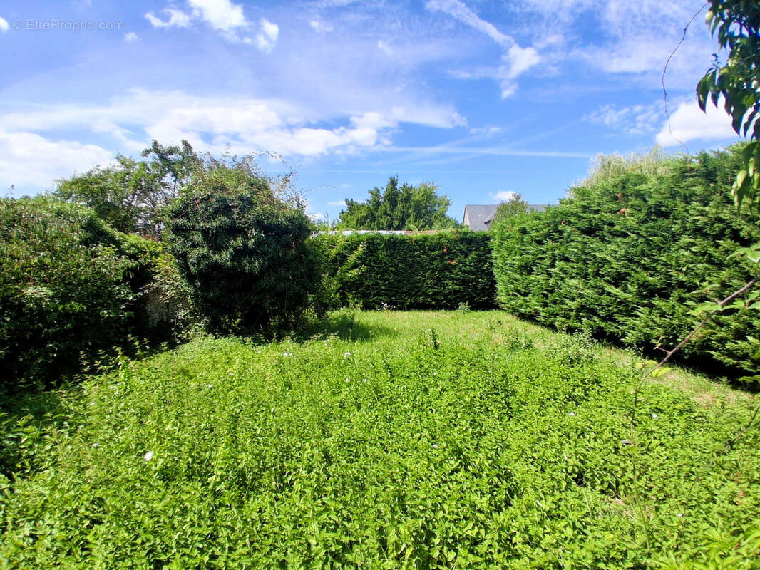 Maison à SAINT-BRISSON-SUR-LOIRE