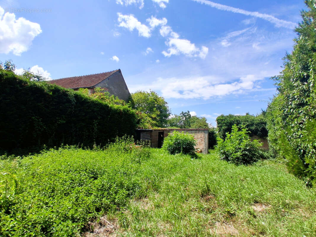 Maison à SAINT-BRISSON-SUR-LOIRE