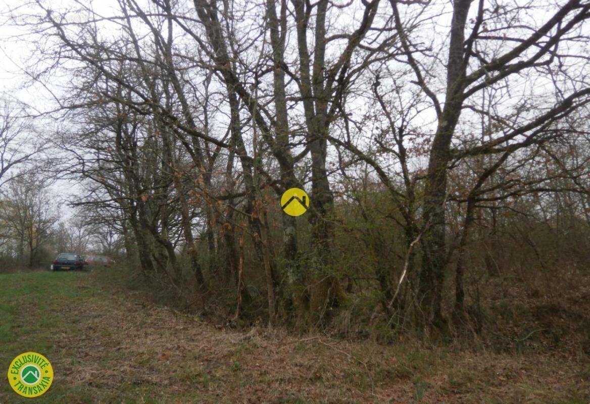 Terrain à MEZIERES-EN-BRENNE