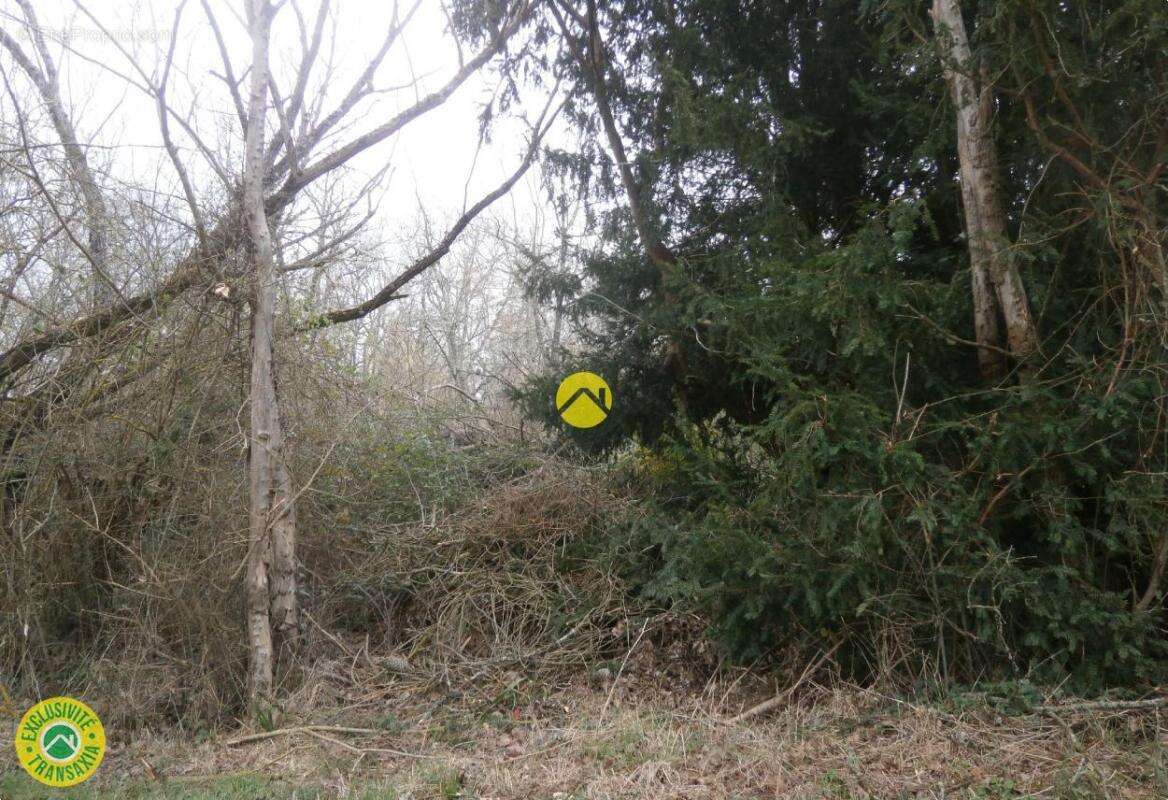Terrain à MEZIERES-EN-BRENNE