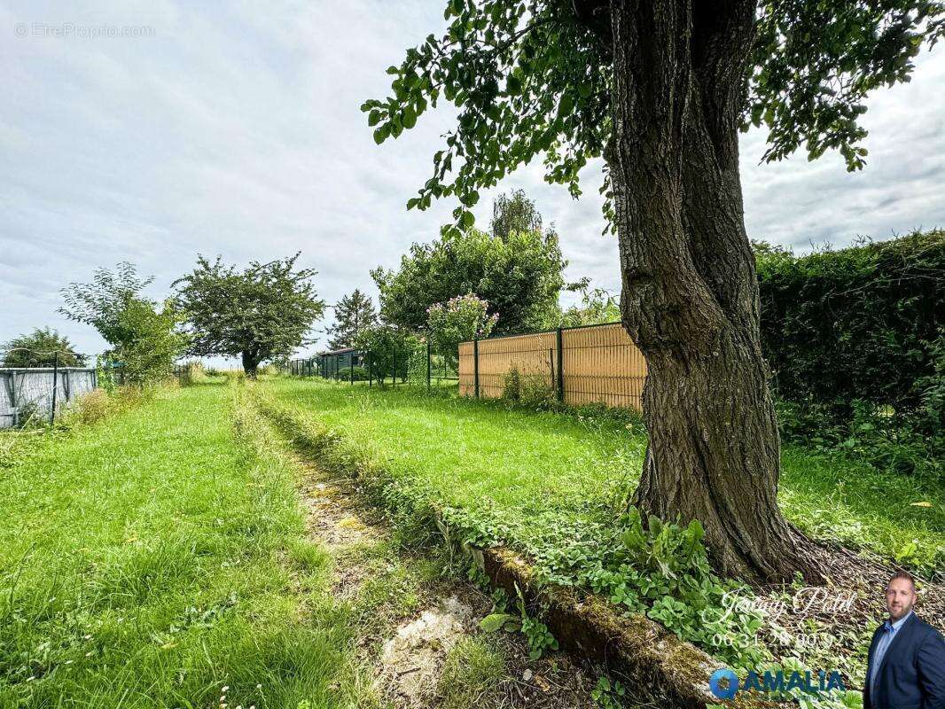 Maison à AVESNES-LES-AUBERT