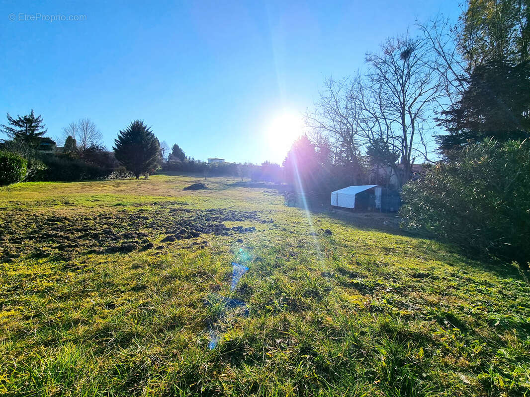 Terrain à CASTANET-TOLOSAN
