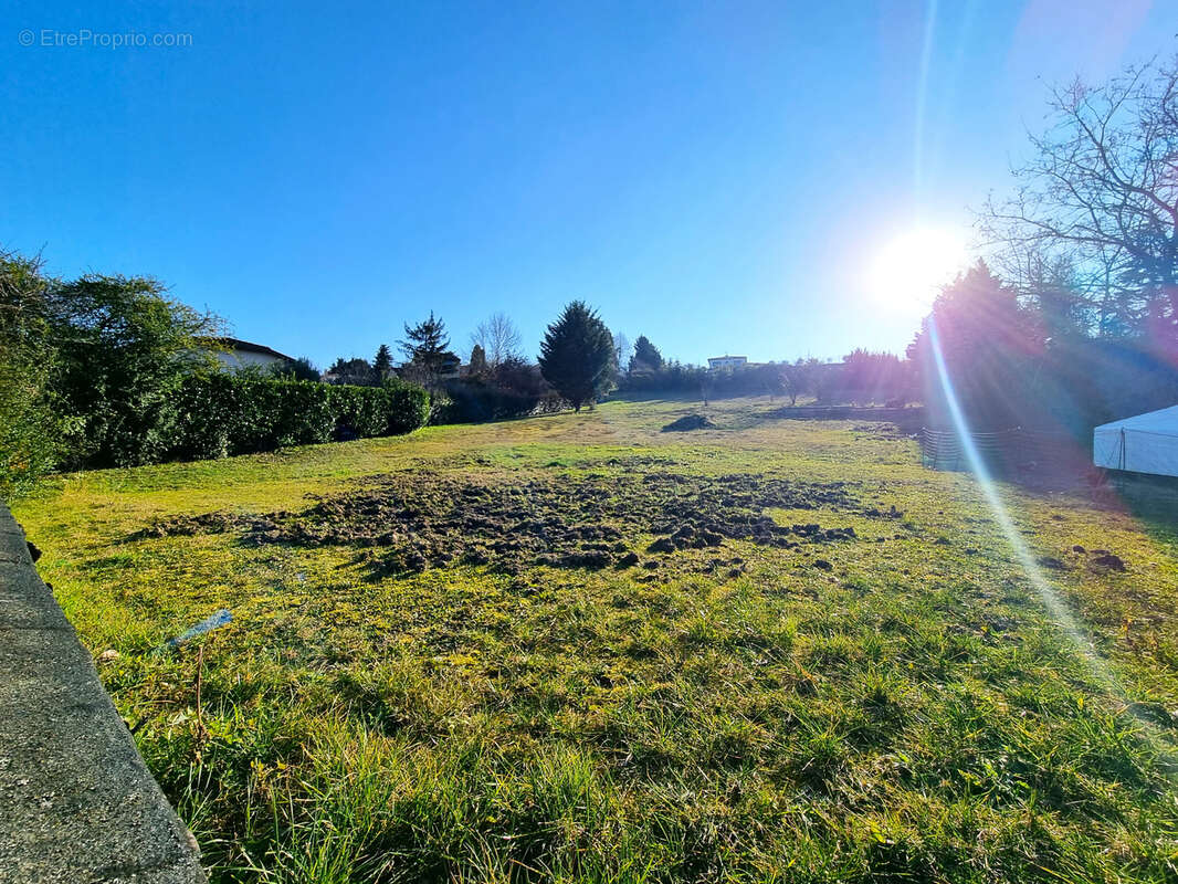 Terrain à CASTANET-TOLOSAN