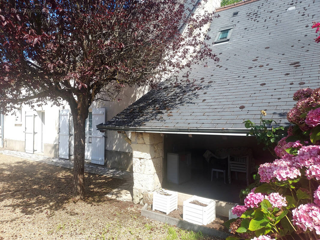 Maison à INGRANDES-DE-TOURAINE