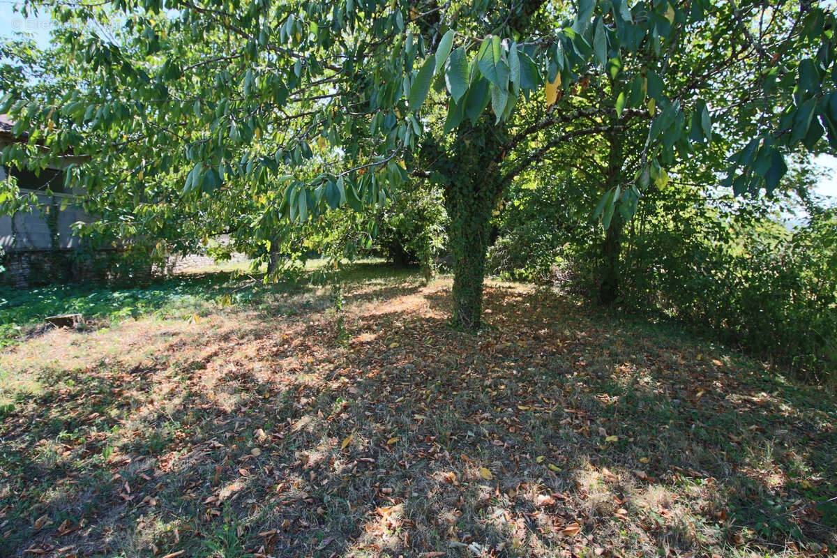 Maison à PUY-L&#039;EVEQUE