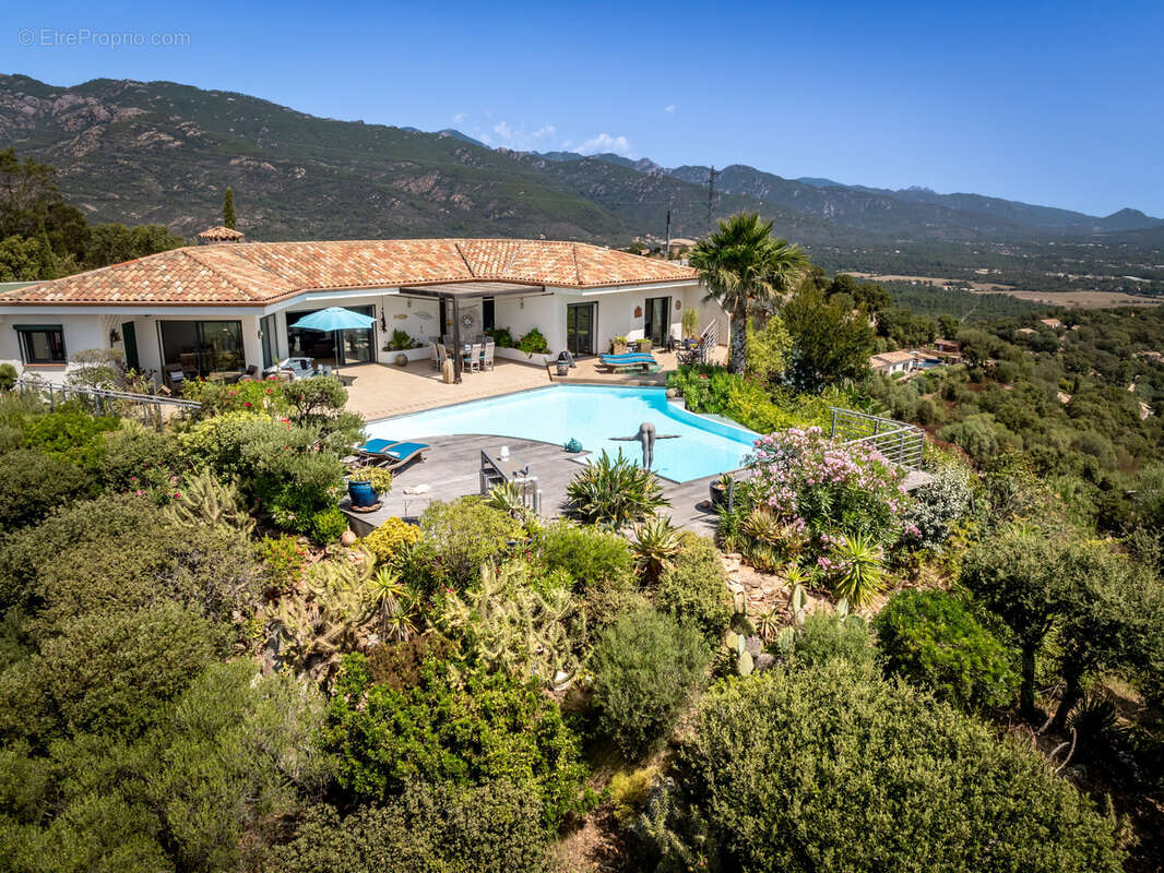 Maison à PORTO-VECCHIO