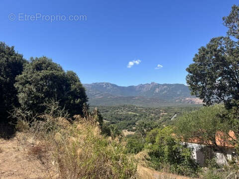Terrain à FIGARI