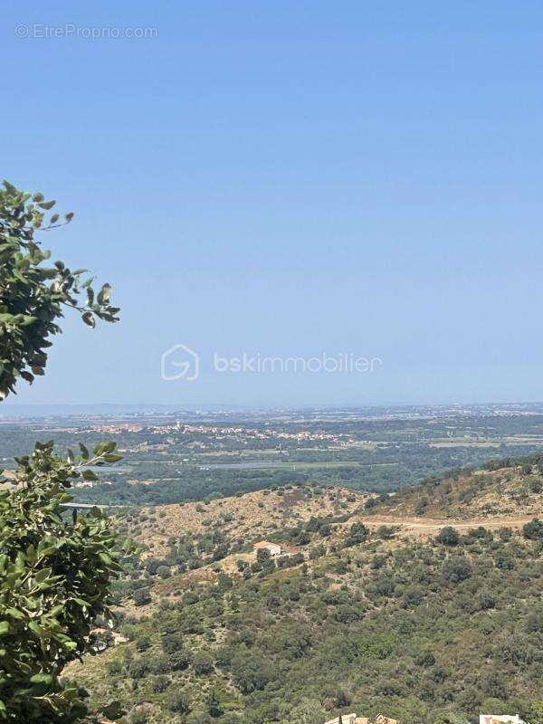 Terrain à LE BOULOU