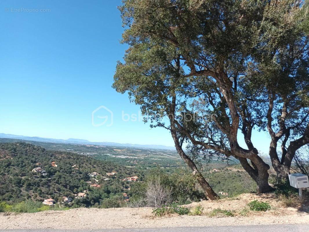 Terrain à LE BOULOU