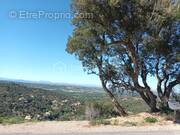Terrain à LE BOULOU