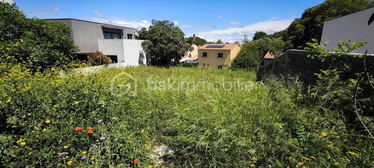 Terrain à FRONTIGNAN