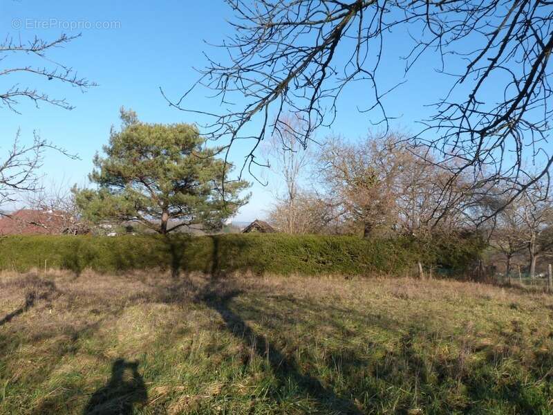 Terrain à SARREGUEMINES