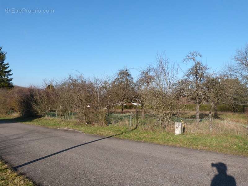 Terrain à SARREGUEMINES
