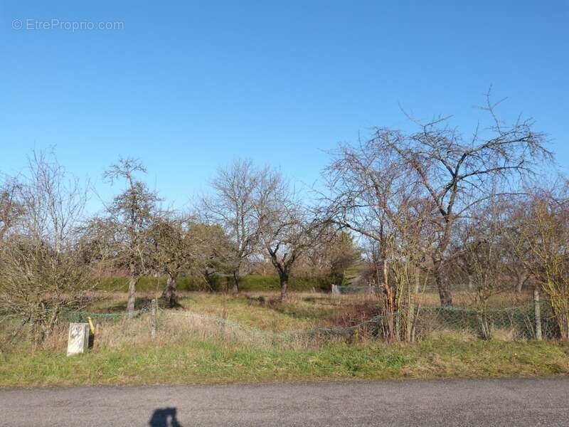 Terrain à SARREGUEMINES