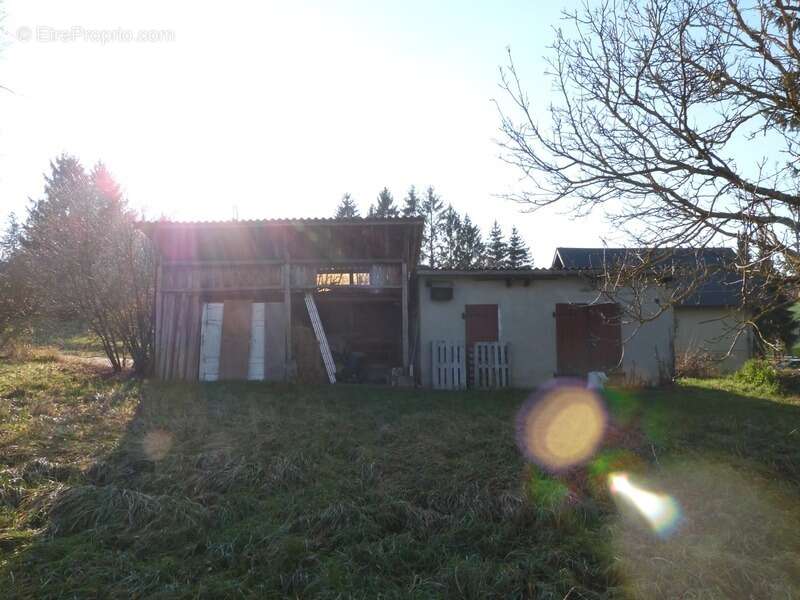 Terrain à SARREGUEMINES