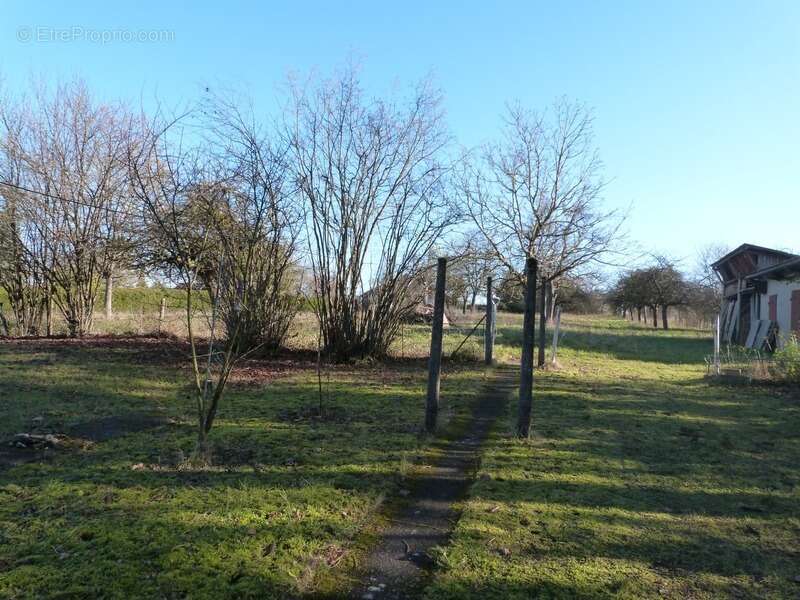 Terrain à SARREGUEMINES