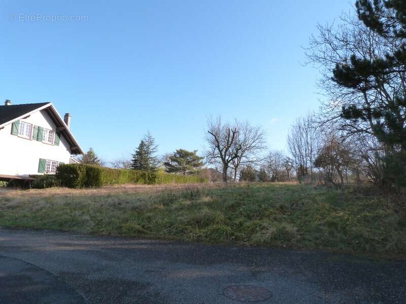 Terrain à SARREGUEMINES