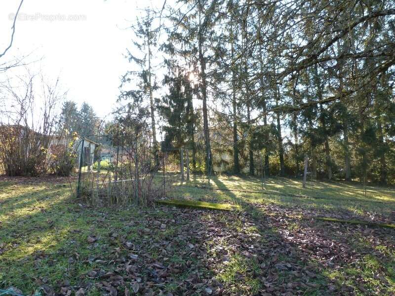 Terrain à SARREGUEMINES