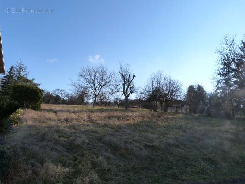 Terrain à SARREGUEMINES